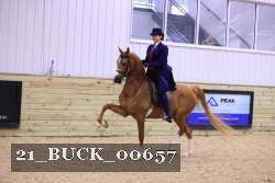 21_BUCK_00657 proof