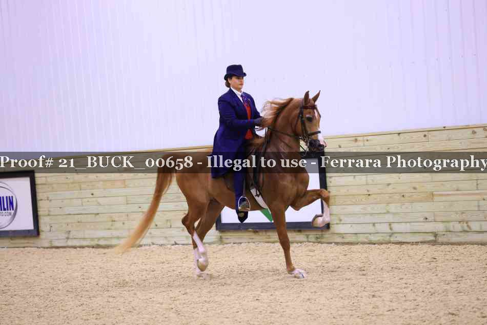 Proof 21_BUCK_00658