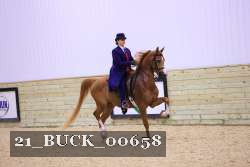 21_BUCK_00658 proof
