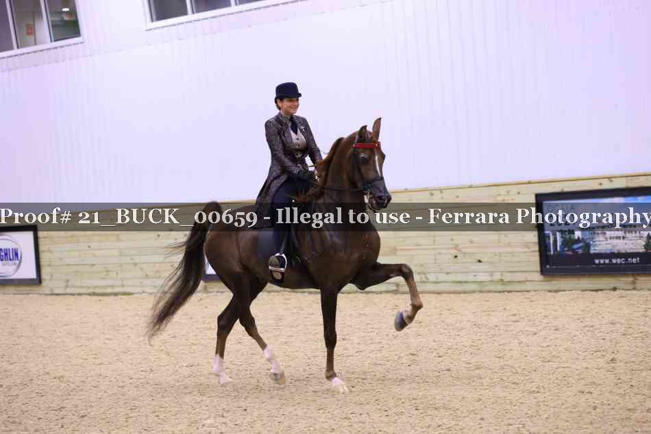 Proof 21_BUCK_00659
