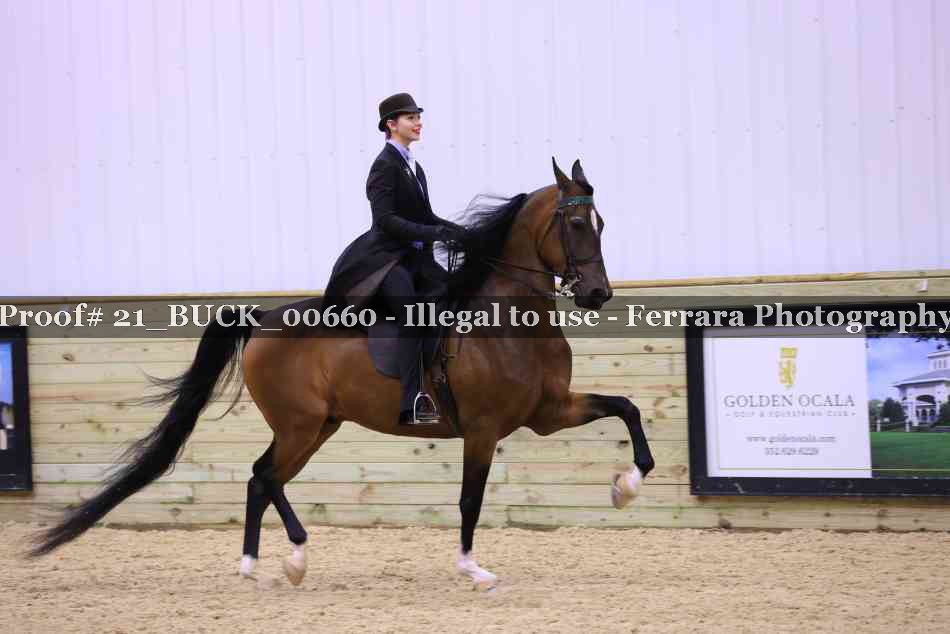 Proof 21_BUCK_00660