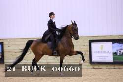 21_BUCK_00660 proof