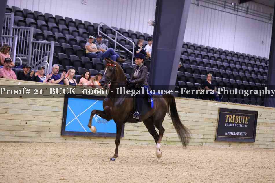 Proof 21_BUCK_00661