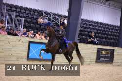 21_BUCK_00661 proof
