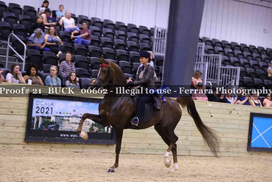 Proof 21_BUCK_00662