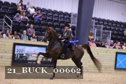 21_BUCK_00662 proof