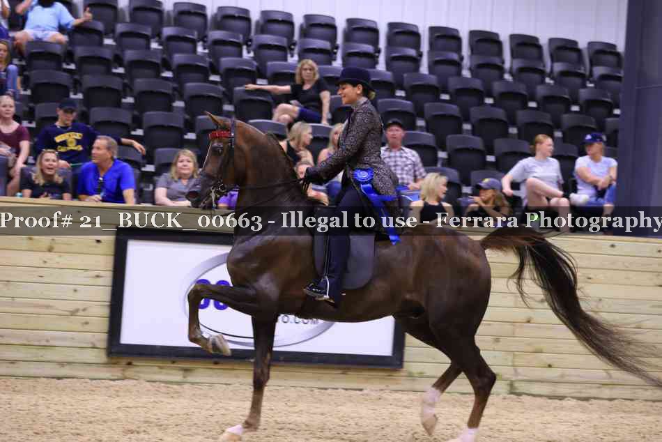 Proof 21_BUCK_00663