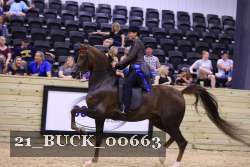 21_BUCK_00663 proof