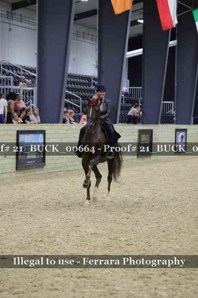 Proof 21_BUCK_00664