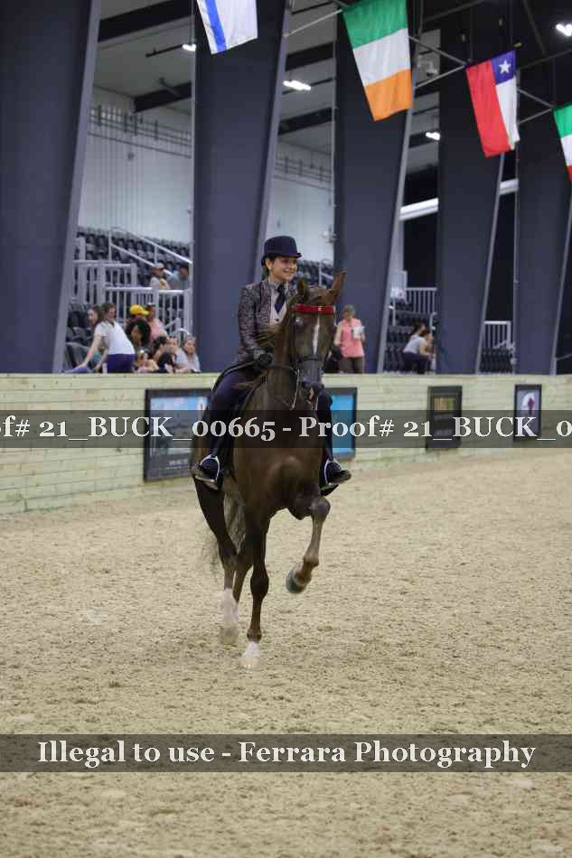 Proof 21_BUCK_00665