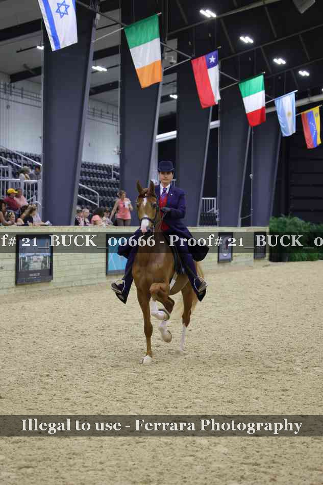 Proof 21_BUCK_00666