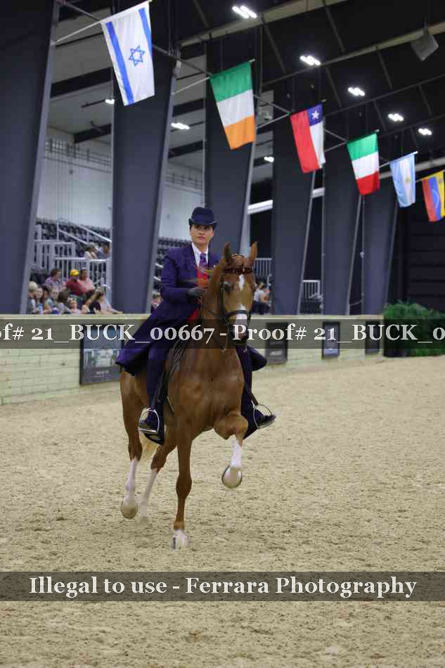 Proof 21_BUCK_00667