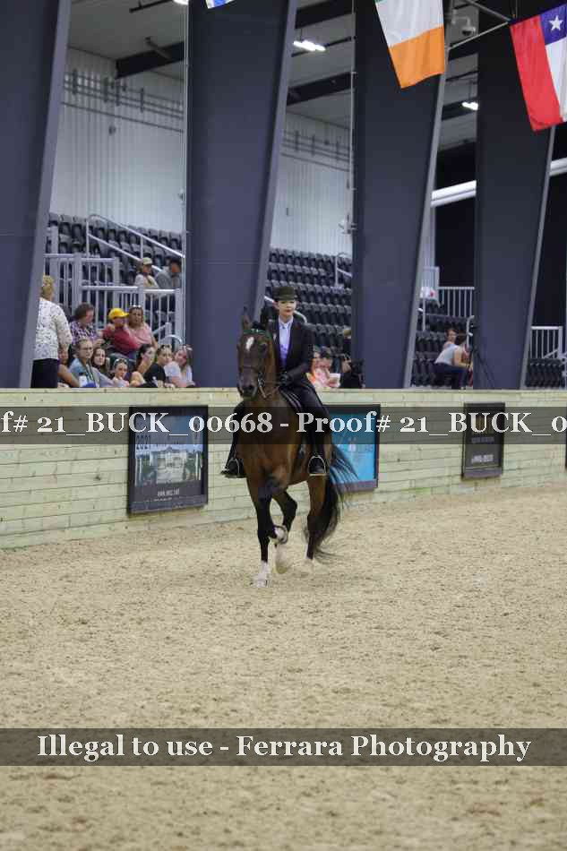 Proof 21_BUCK_00668