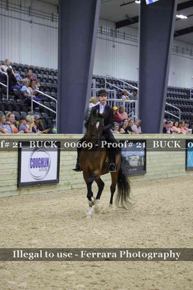 Proof 21_BUCK_00669
