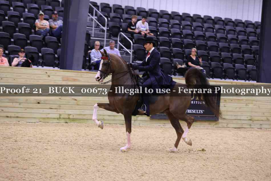 Proof 21_BUCK_00673
