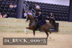 21_BUCK_00673 proof