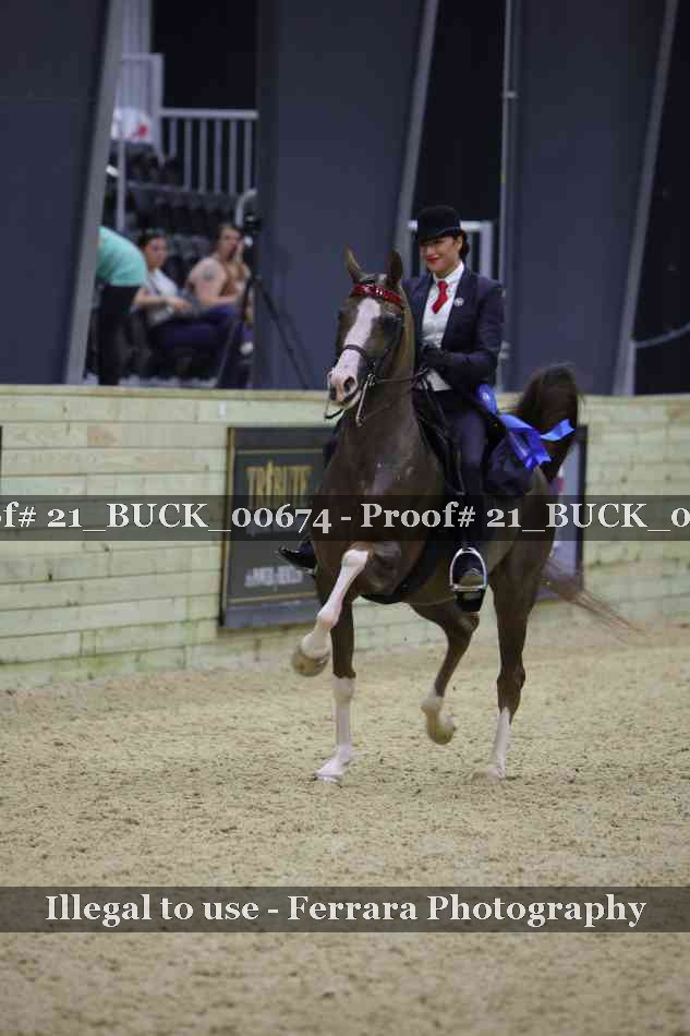 Proof 21_BUCK_00674