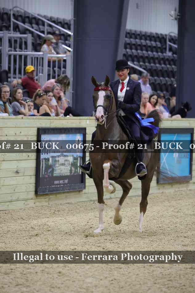Proof 21_BUCK_00675