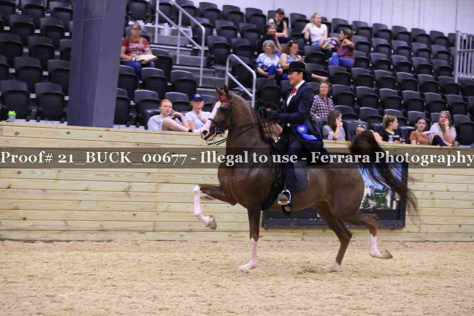 Proof 21_BUCK_00677