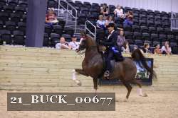 21_BUCK_00677 proof