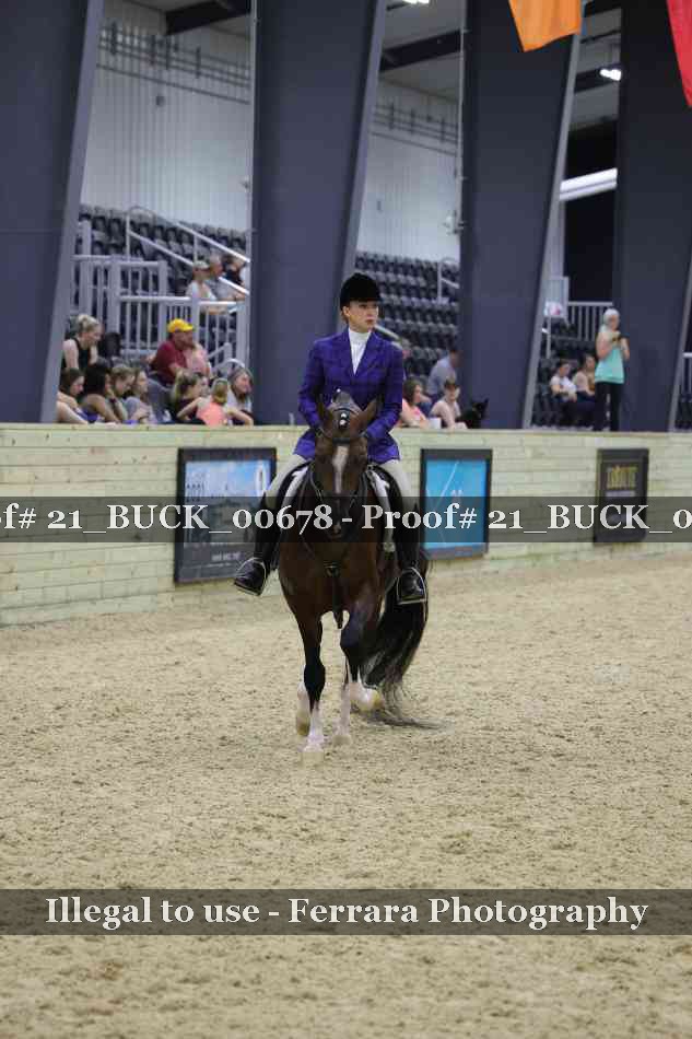 Proof 21_BUCK_00678