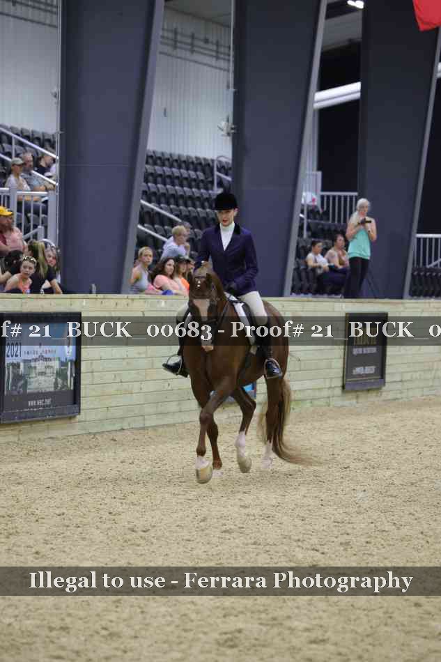 Proof 21_BUCK_00683