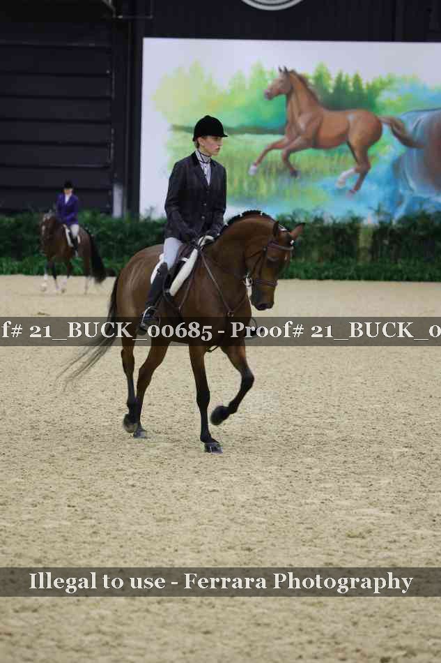 Proof 21_BUCK_00685