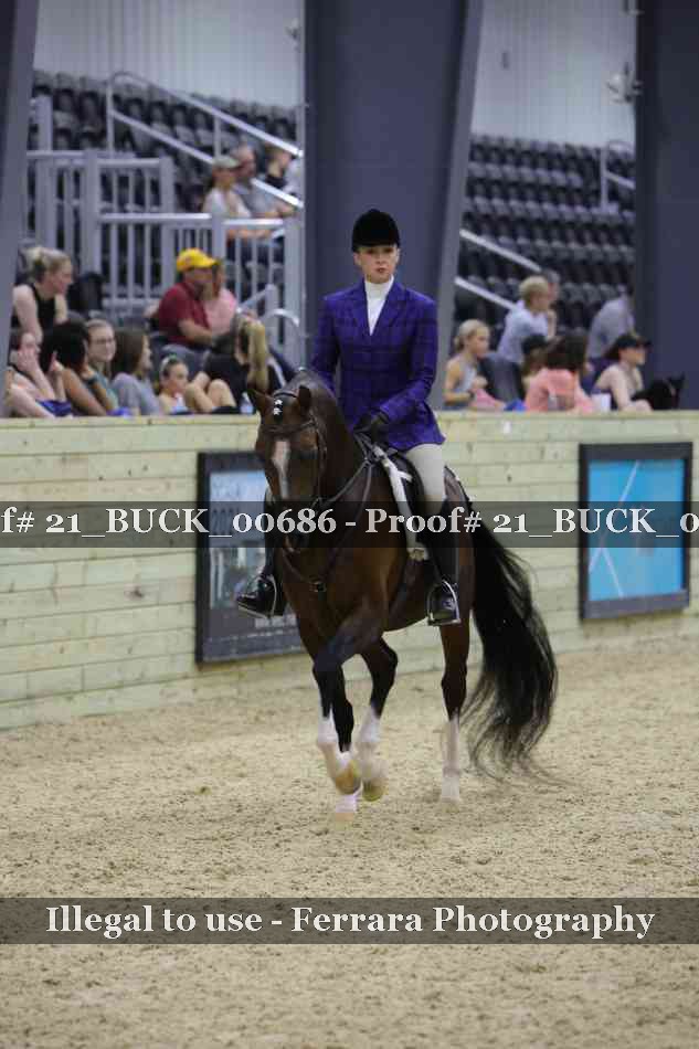 Proof 21_BUCK_00686