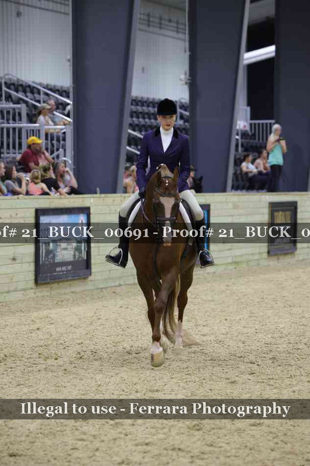 Proof 21_BUCK_00691