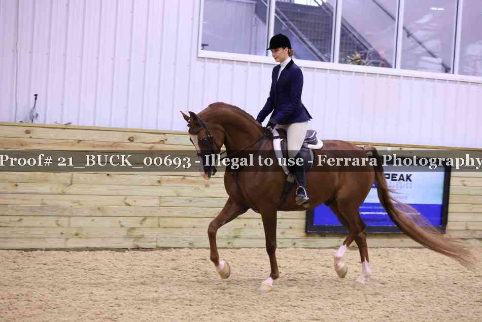 Proof 21_BUCK_00693