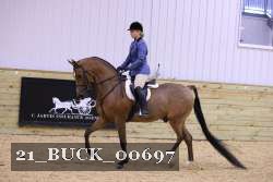 21_BUCK_00697 proof