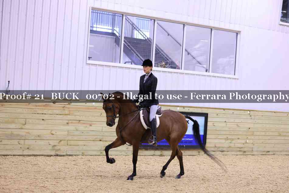 Proof 21_BUCK_00702
