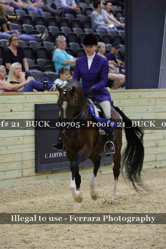 Proof 21_BUCK_00705