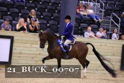 21_BUCK_00707 proof