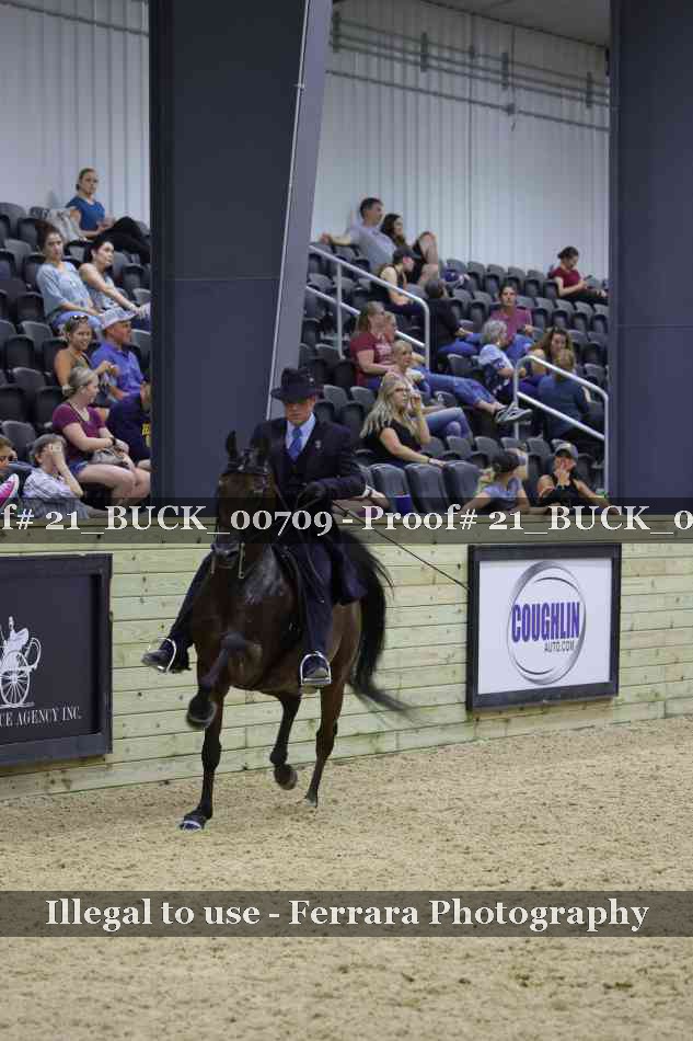 Proof 21_BUCK_00709