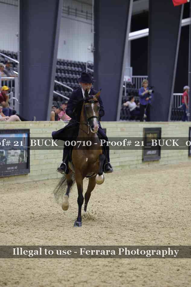 Proof 21_BUCK_00710