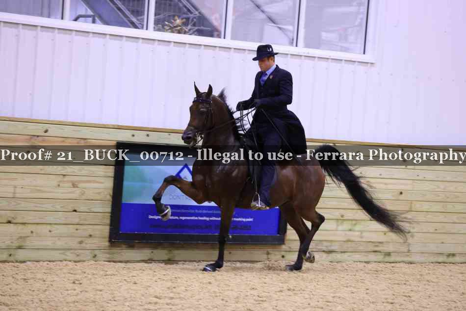 Proof 21_BUCK_00712