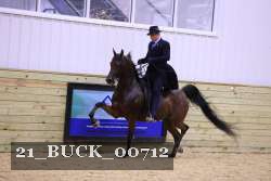 21_BUCK_00712 proof