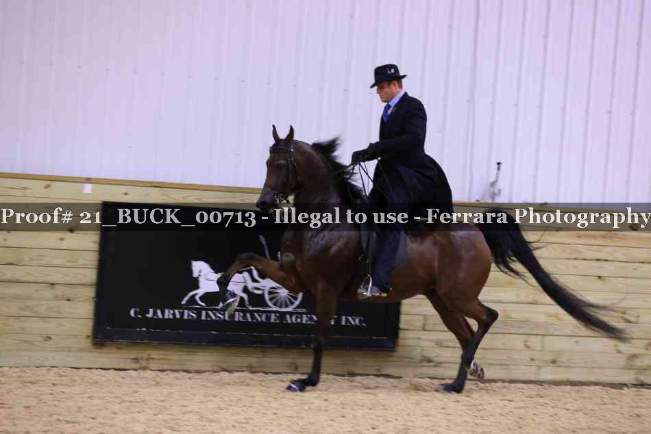 Proof 21_BUCK_00713
