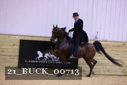 21_BUCK_00713 proof