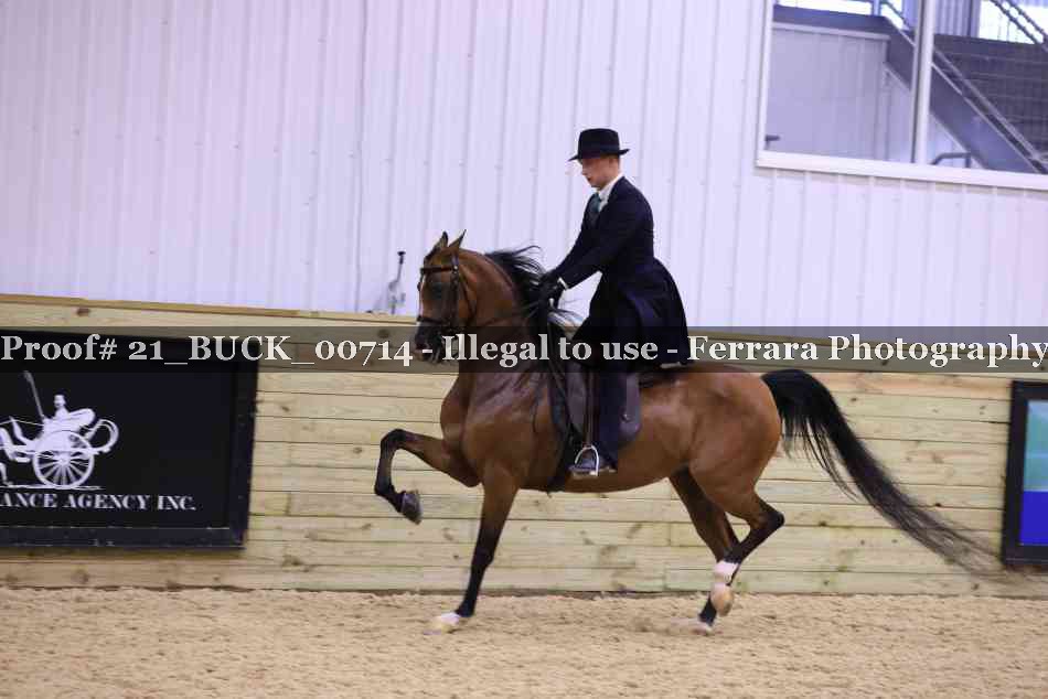 Proof 21_BUCK_00714