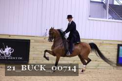 21_BUCK_00714 proof