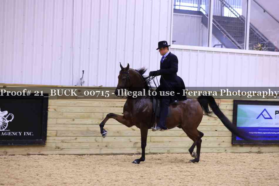 Proof 21_BUCK_00715