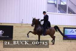 21_BUCK_00715 proof
