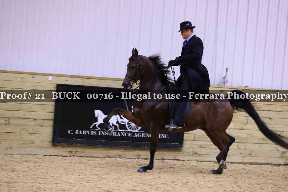 Proof 21_BUCK_00716