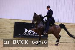 21_BUCK_00716 proof