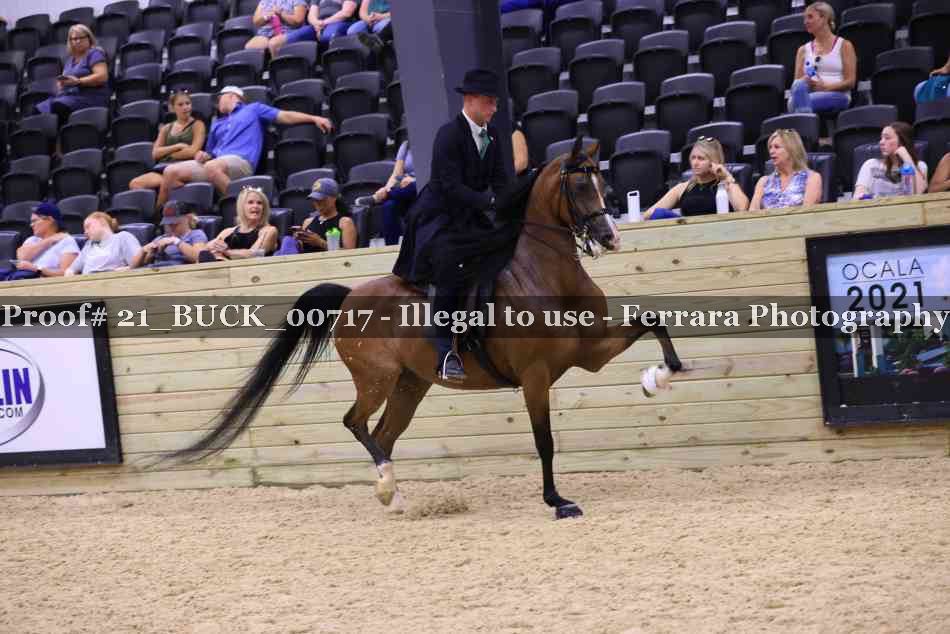Proof 21_BUCK_00717