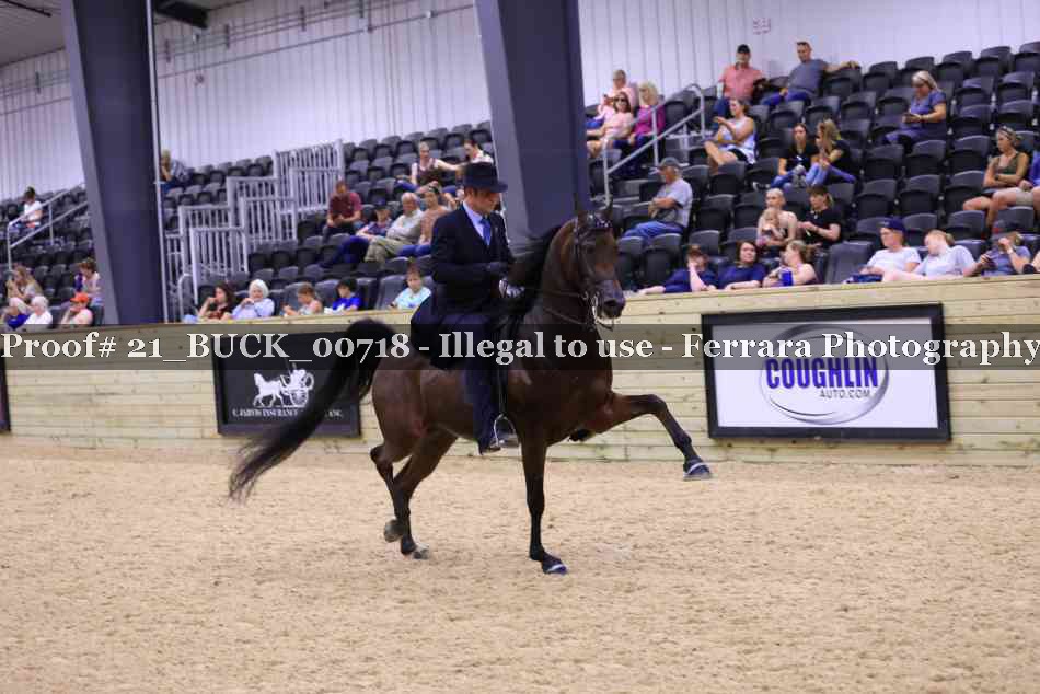 Proof 21_BUCK_00718