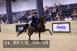 21_BUCK_00718 proof