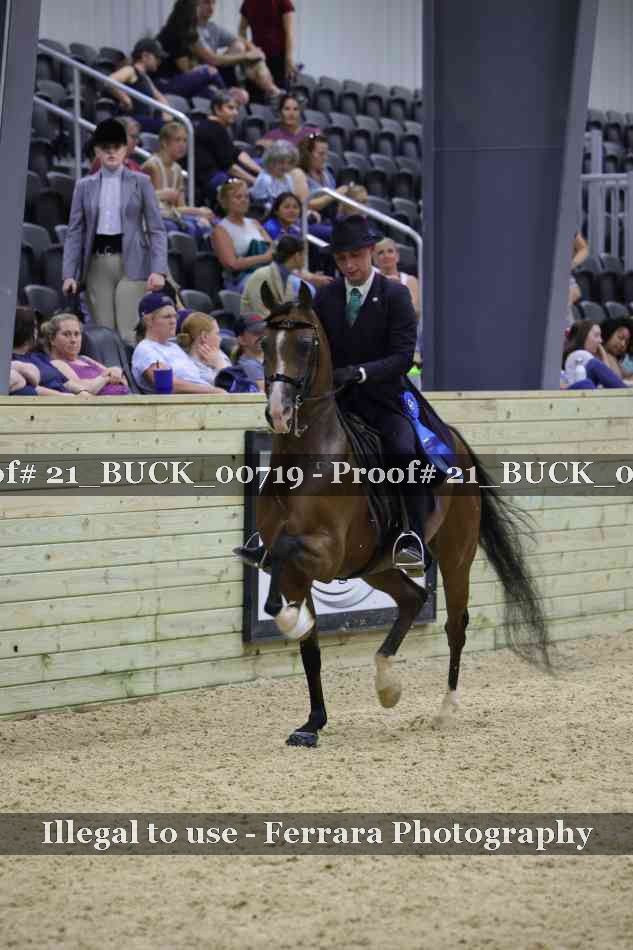 Proof 21_BUCK_00719